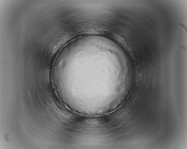 X0000102810299200809021205