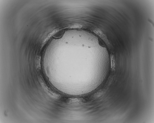 X0000102810300200809021205