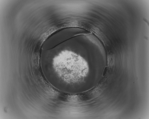 X0000102810301200809021205