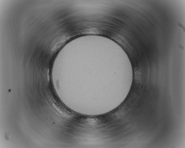 X0000102810302200809021205