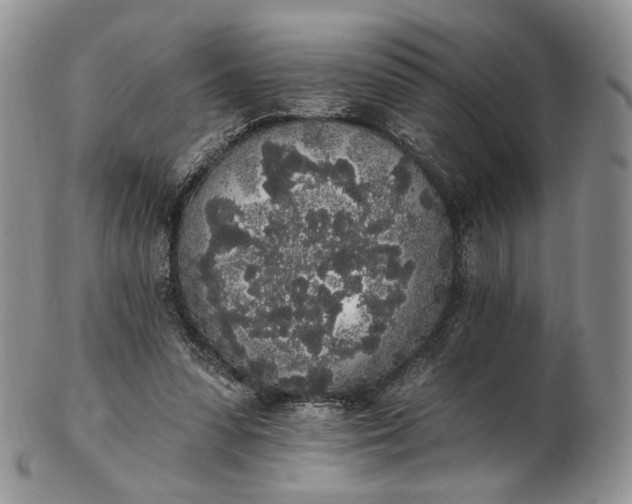 X0000102810303200809021205