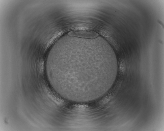 X0000102810304200809021205