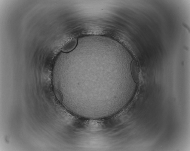 X0000102810305200809021205