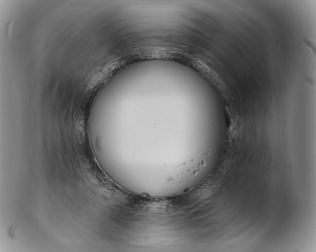 X0000102810306200809021205