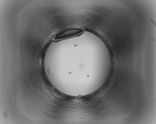 X0000102810308200809021204