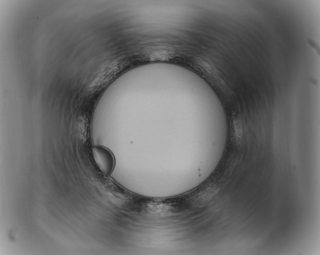 X0000102810311200809021204