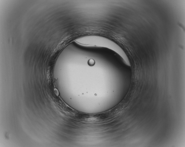 X0000102810312200809021204