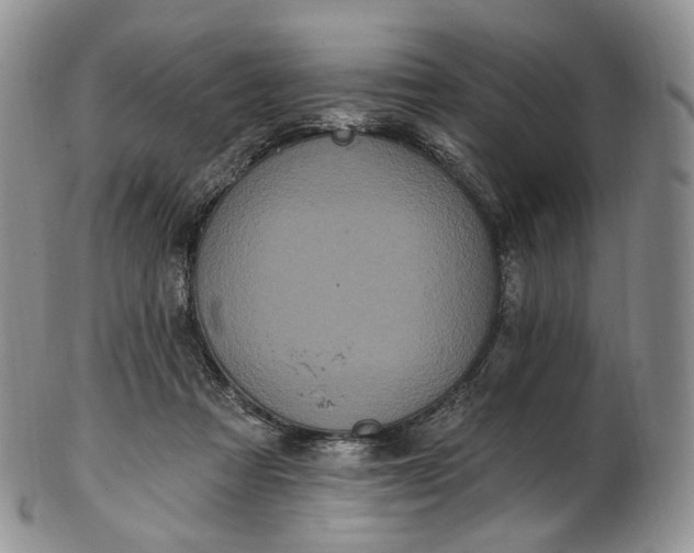 X0000102810313200809021204