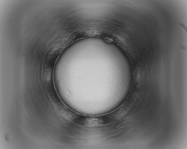 X0000102810315200809021204