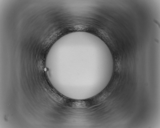 X0000102810317200809021204