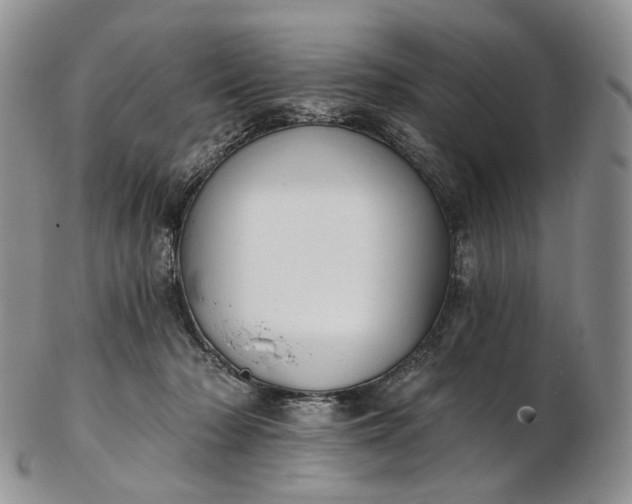 X0000102810318200809021204