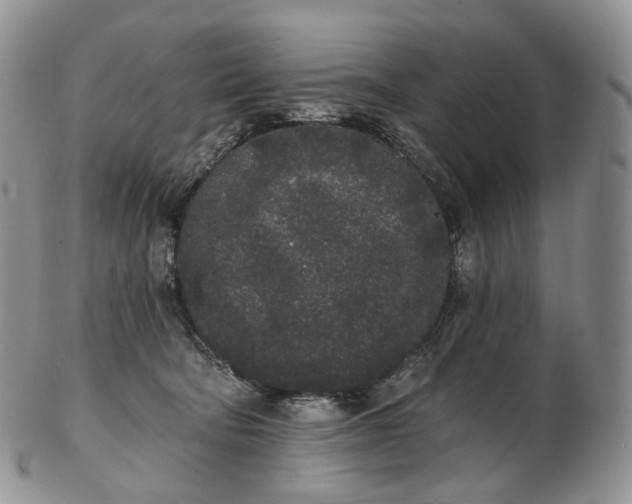 X0000102810322200809021204