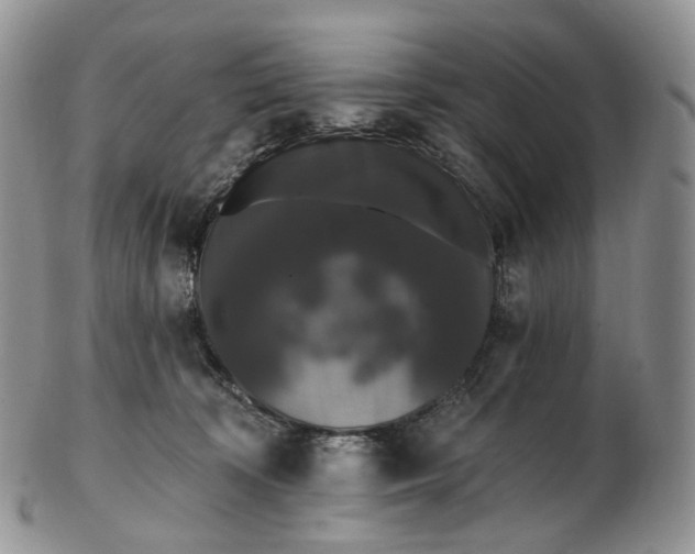 X0000102810324200809021204