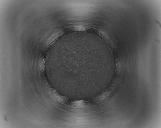 X0000102810325200809021204