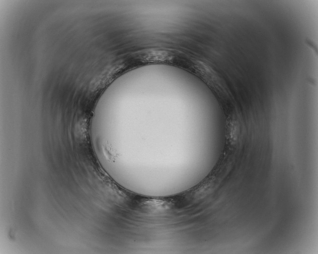 X0000102810326200809021204