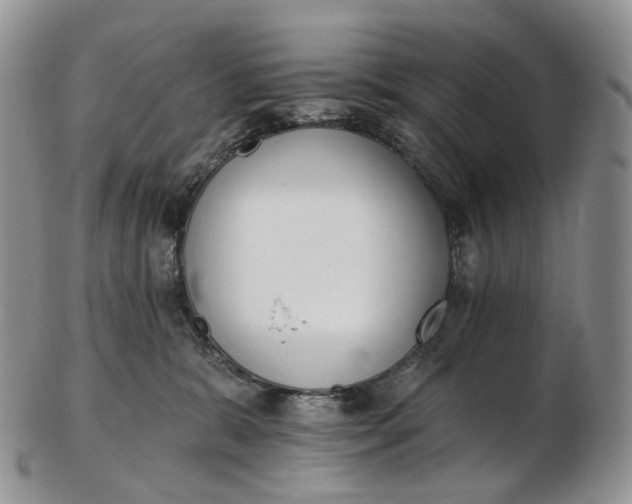 X0000102810327200809021204