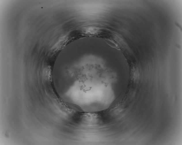 X0000102810328200809021204