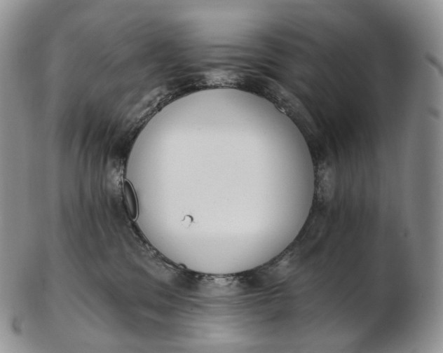 X0000102810329200809021204