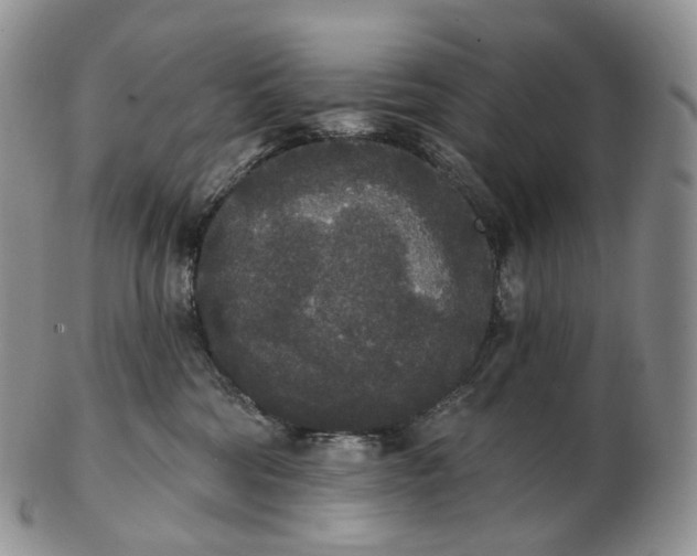 X0000102810330200809021204