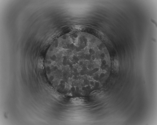 X0000102810331200809021204