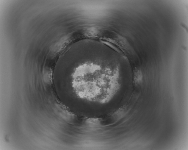 X0000102810332200809021204