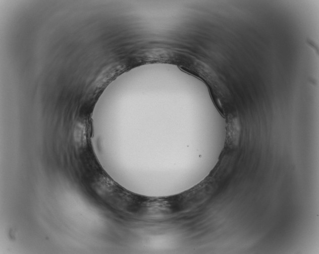 X0000102810333200809021204