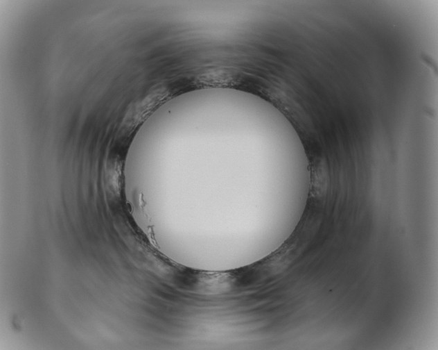 X0000102810334200809021204