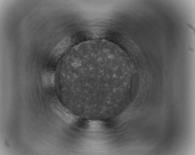 X0000102810336200809021204