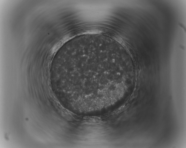 X0000102810337200809021203