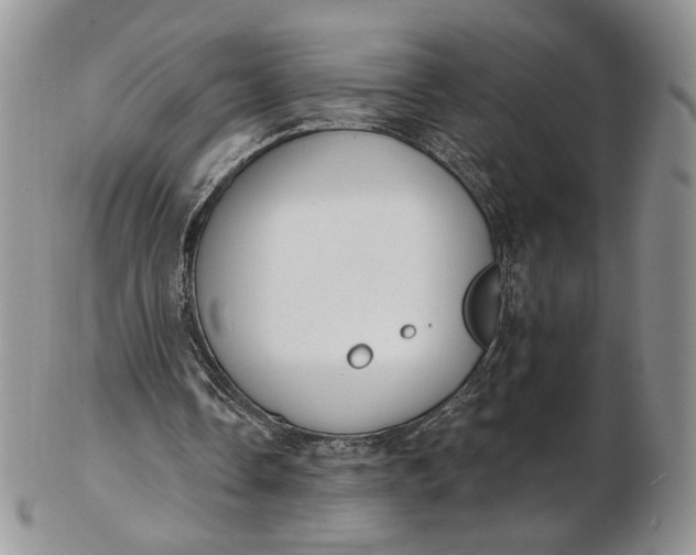 X0000102810338200809021203