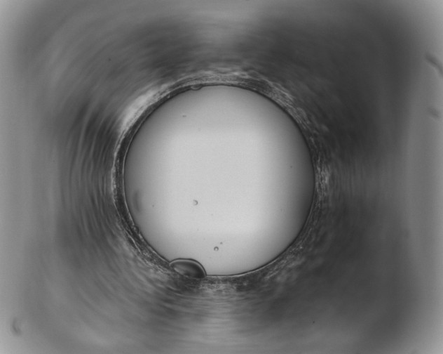 X0000102810340200809021203