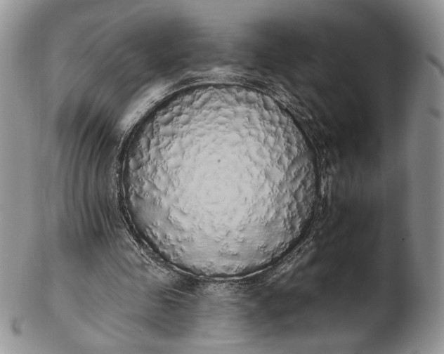 X0000102810341200809021203