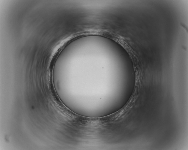 X0000102810342200809021204