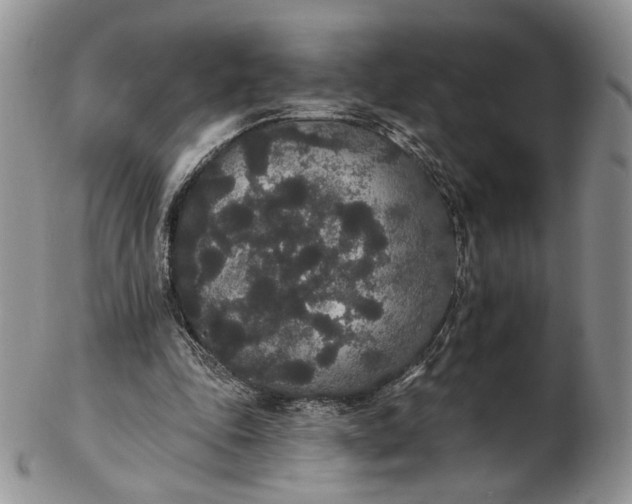 X0000102810343200809021204