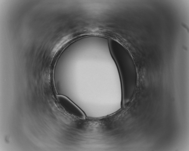 X0000102810344200809021204