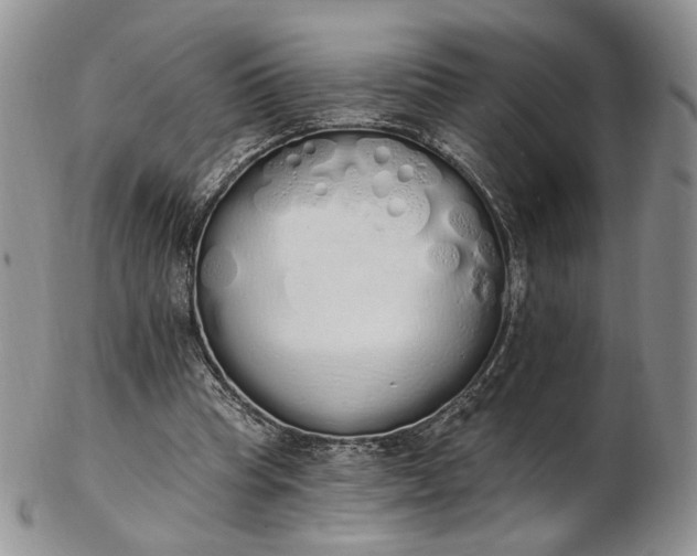 X0000102810345200809021204