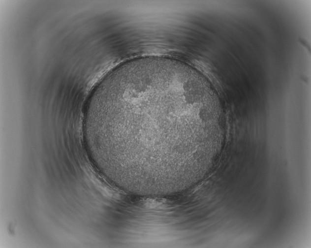 X0000102810346200809021204