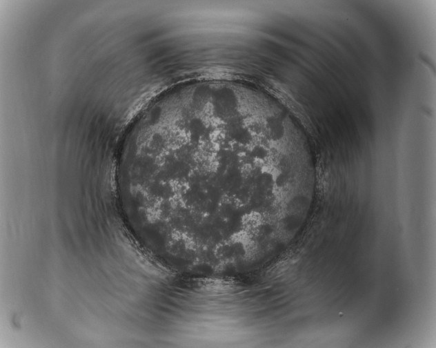 X0000102810347200809021204