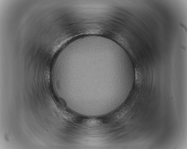 X0000102810348200809021204