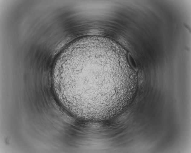 X0000102810349200809021204