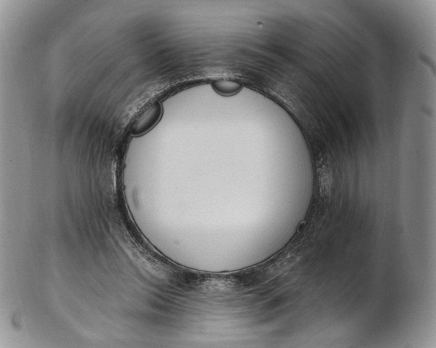 X0000102810350200809021204