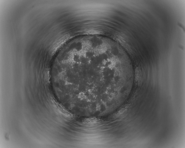 X0000102810351200809021204