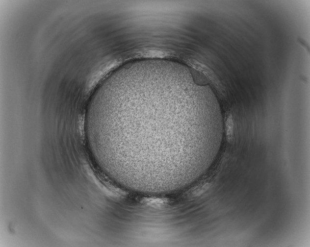 X0000102810352200809021204