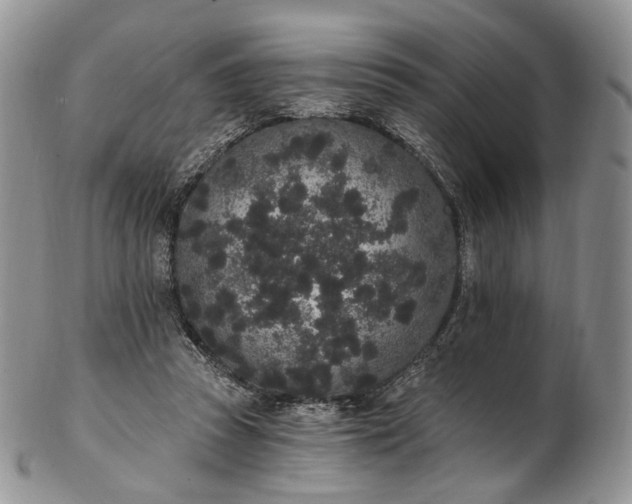 X0000102810353200809021204