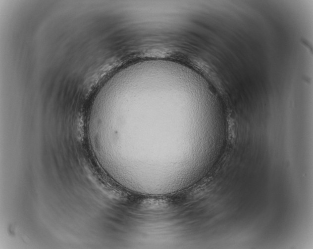 X0000102810354200809021204