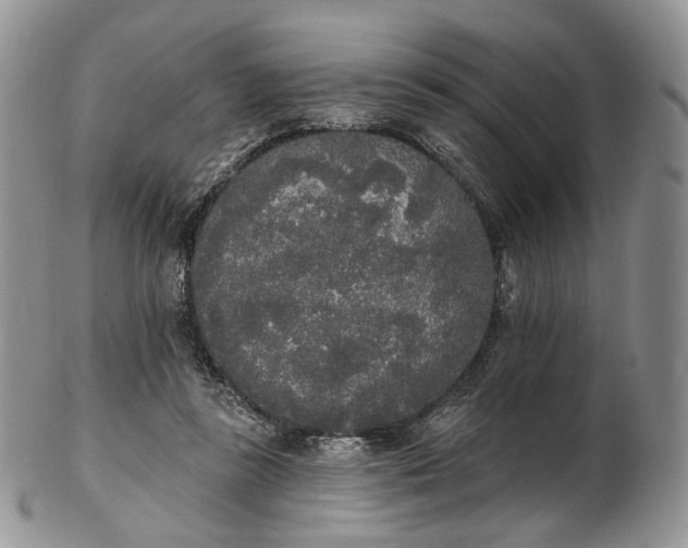 X0000102810355200809021204