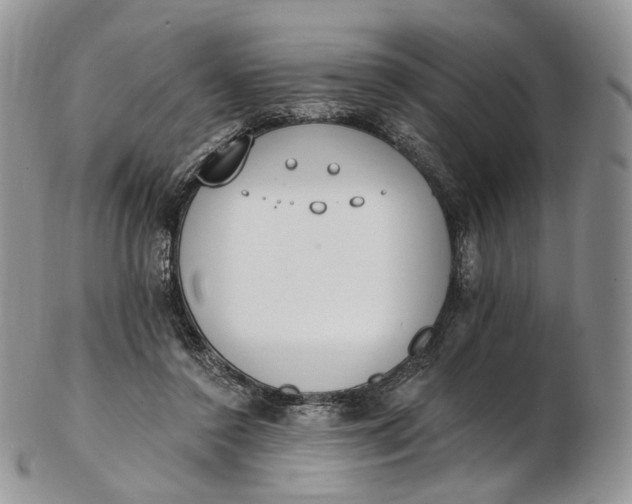 X0000102810356200809021204