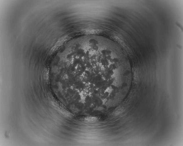 X0000102810357200809021204