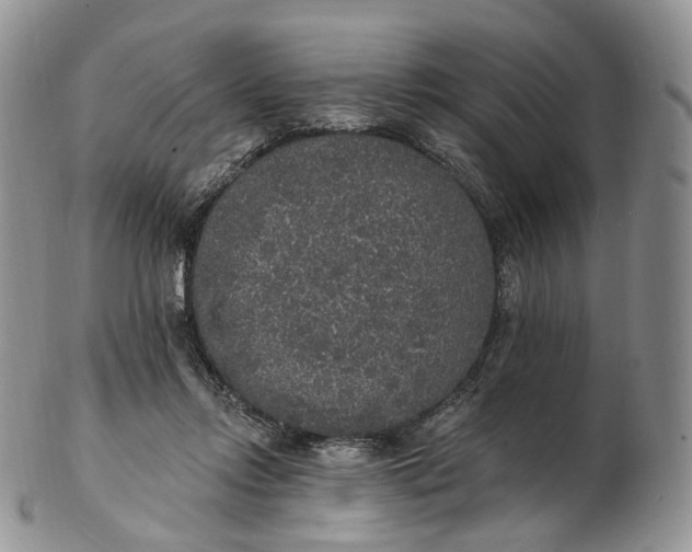 X0000102810358200809021204