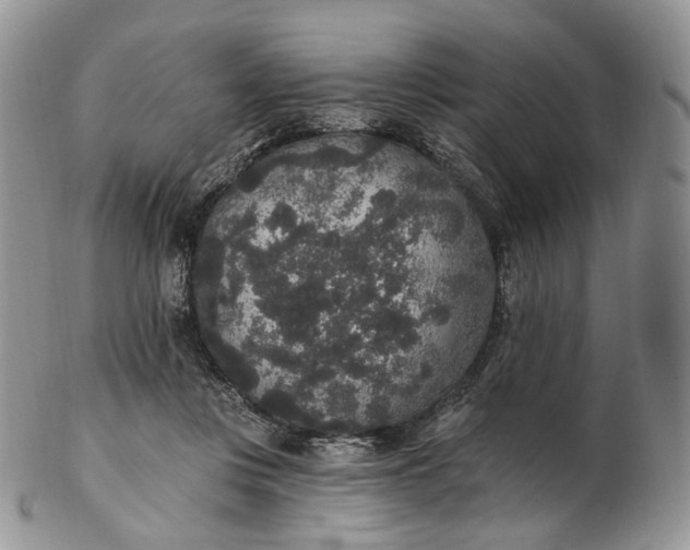 X0000102810359200809021204